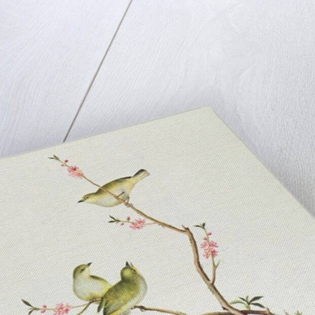 White-Eye bird, Ch'ien-lung period by Qing Dynasty Chinese School