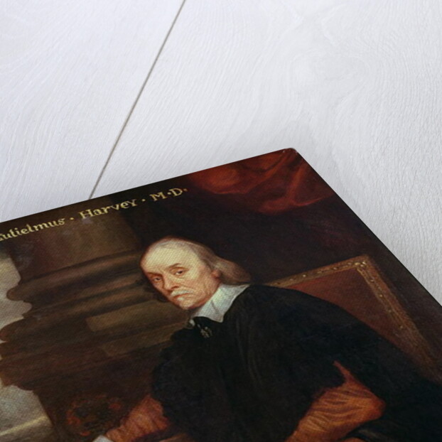 William Harvey Royal physician, 17th century by Anonymous Anonymous