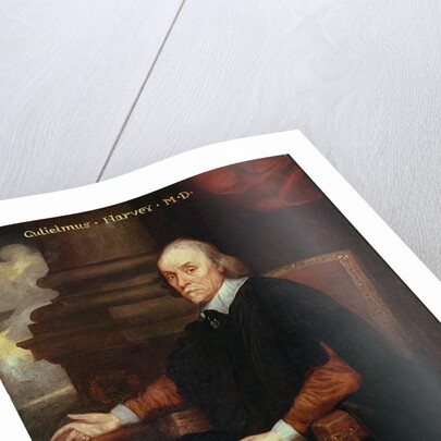 William Harvey Royal physician, 17th century by Anonymous Anonymous