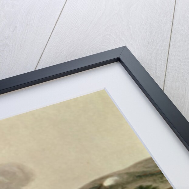 The Battle of Waterloo, 18 June 1815 by William Heath