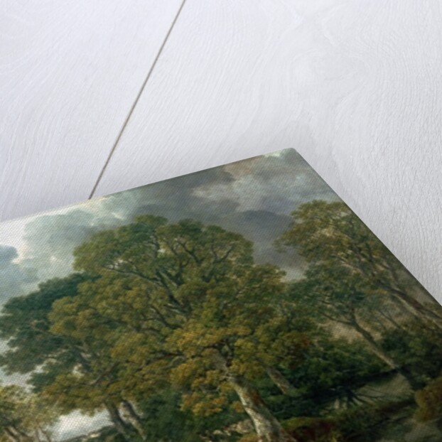 Cornard Wood, near Sudbury, Suffolk, 1748 by Thomas Gainsborough