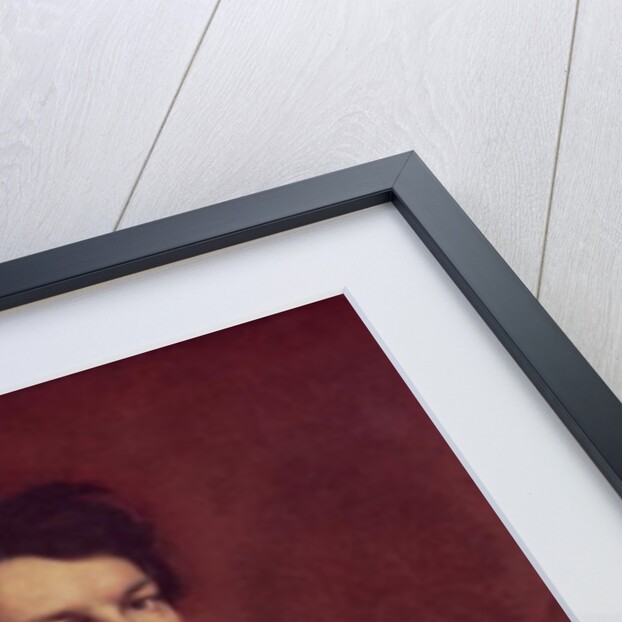 Monsieur de Norvins, 1811-12 by Jean Auguste Dominique Ingres