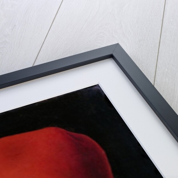 Portrait of a Man, c.1475-6 by Antonello da Messina