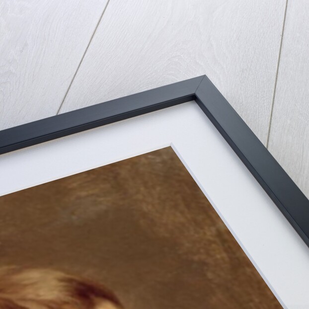 A Peasant Boy Leaning on a Sill, 1675-80 by Bartolome Esteban Murillo