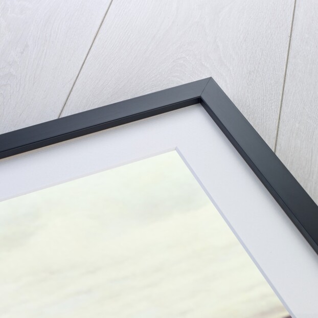 General of the First Empire by Jean-Baptiste Edouard Detaille