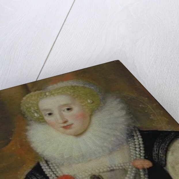 Portrait of an Elizabethan Lady with a Parrot by English School