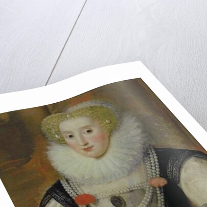 Portrait of an Elizabethan Lady with a Parrot by English School