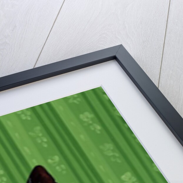 Moggies, 1994 by Magdolna Ban