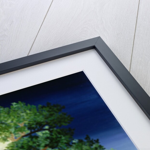 Tree of Dreams, 1994 by Magdolna Ban