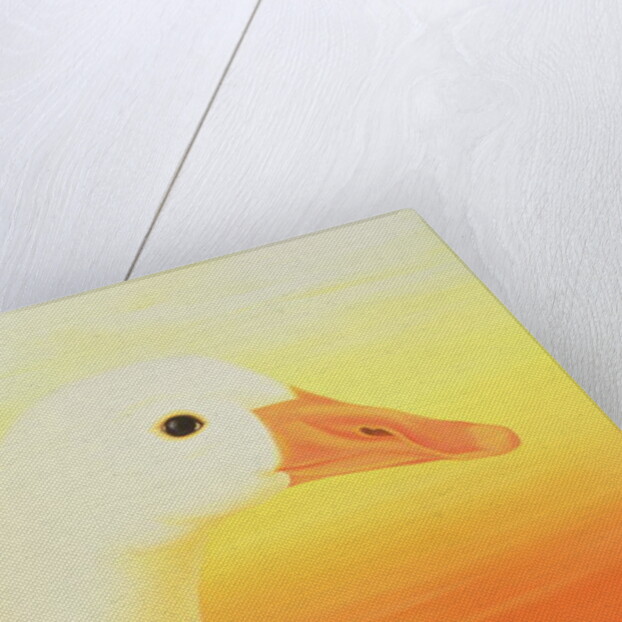 Beauty, 1998 by Magdolna Ban