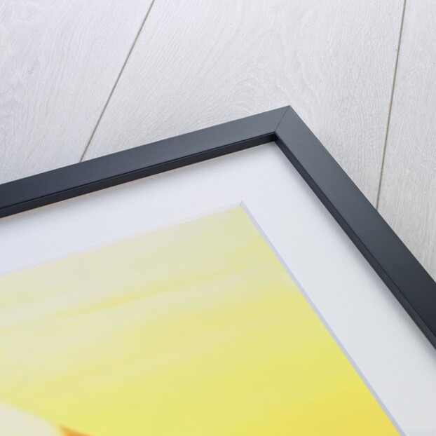 Beauty, 1998 by Magdolna Ban