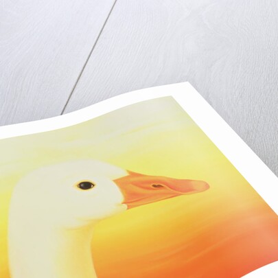 Beauty, 1998 by Magdolna Ban