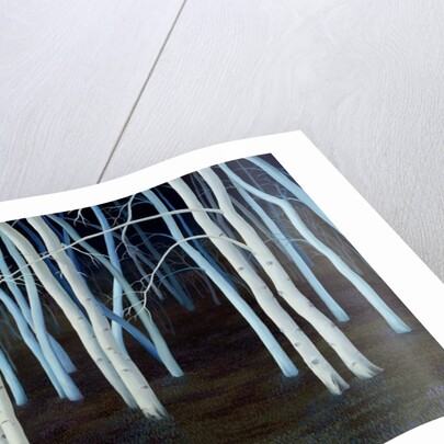 Mystic, 2004 by Magdolna Ban