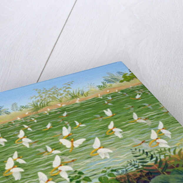 Wedding, 1985 by Magdolna Ban