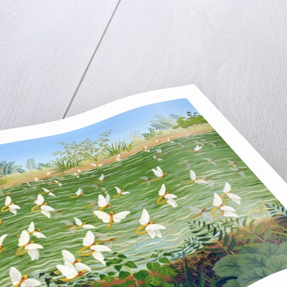 Wedding, 1985 by Magdolna Ban