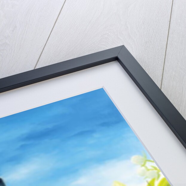 Quo Vadis Domine? by Magdolna Ban