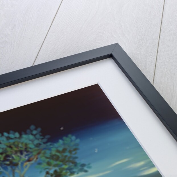 Moonshine Sonata, 2006 by Magdolna Ban