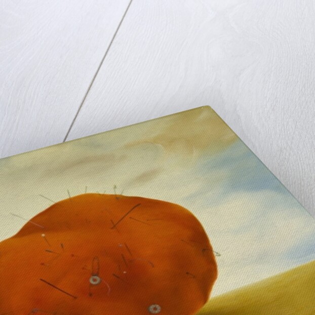 Women's Heart by Magdolna Ban