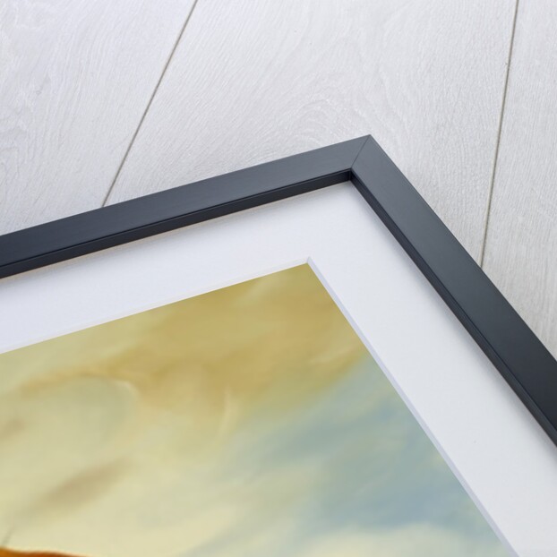 Women's Heart by Magdolna Ban