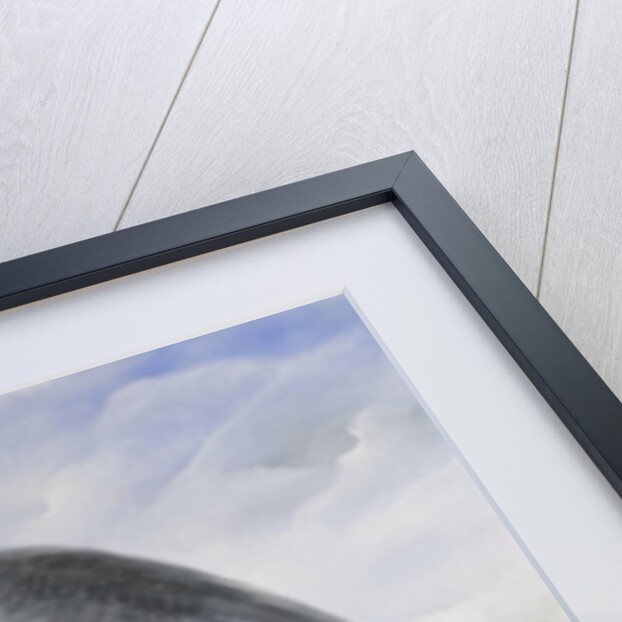 Weight, weight, paralysing weight on me, 2010 by Magdolna Ban