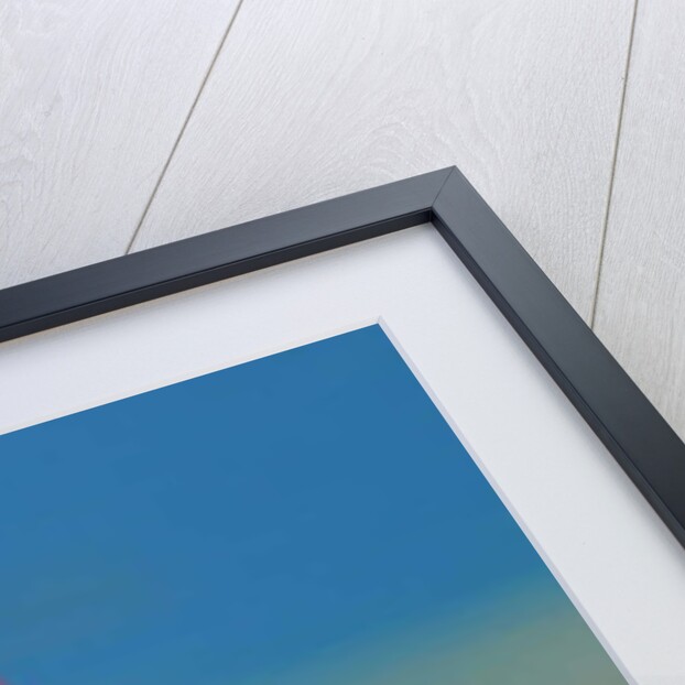 La vie en rose by Magdolna Ban