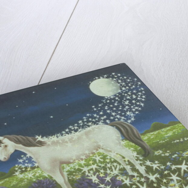 Magic, 1974 by Magdolna Ban