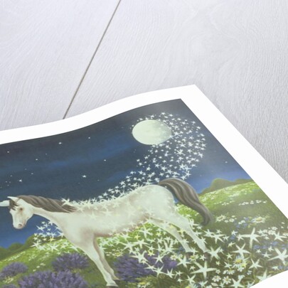 Magic, 1974 by Magdolna Ban