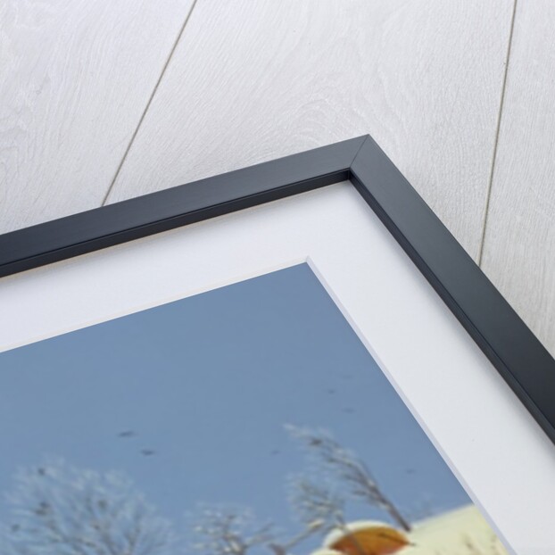 Spring in Winter, 1987 by Magdolna Ban