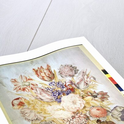 Hyacinths, peonies and tulips by Giovanna Garzoni