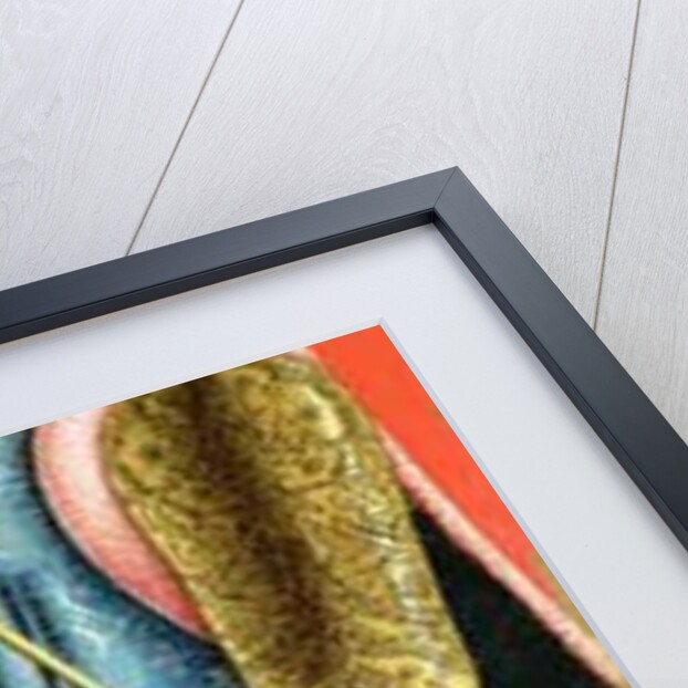 St. Sebastian by Carlo Crivelli