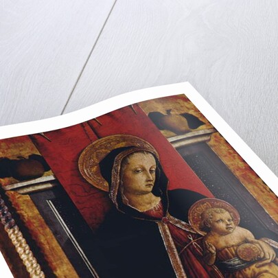 Madonna and Child, detail from the San Silvestro polyptych, 1468 by Carlo Crivelli