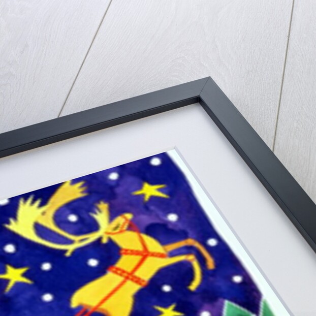 Stars and Snowfall by Cathy Baxter