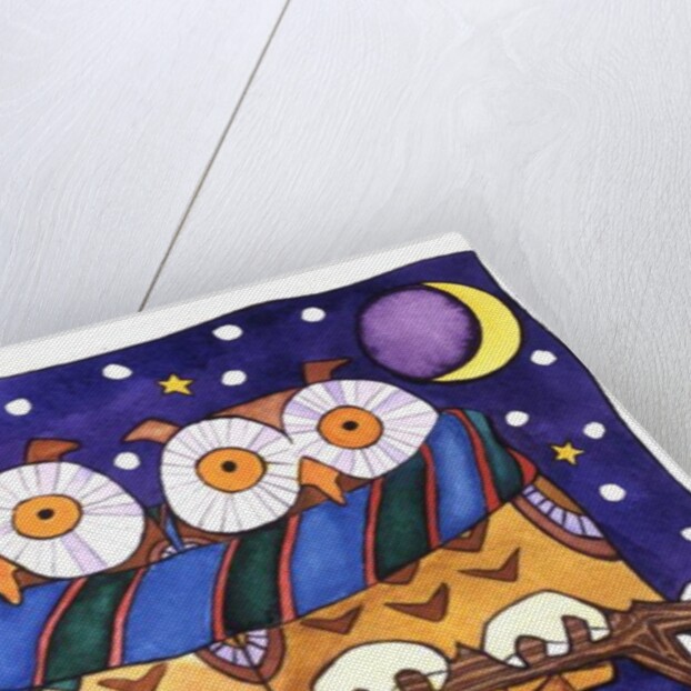 Owls by Night by Cathy Baxter