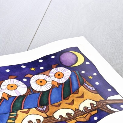 Owls by Night by Cathy Baxter