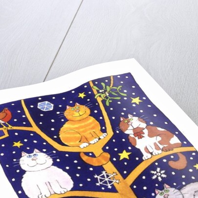 Five Christmas Cats by Cathy Baxter