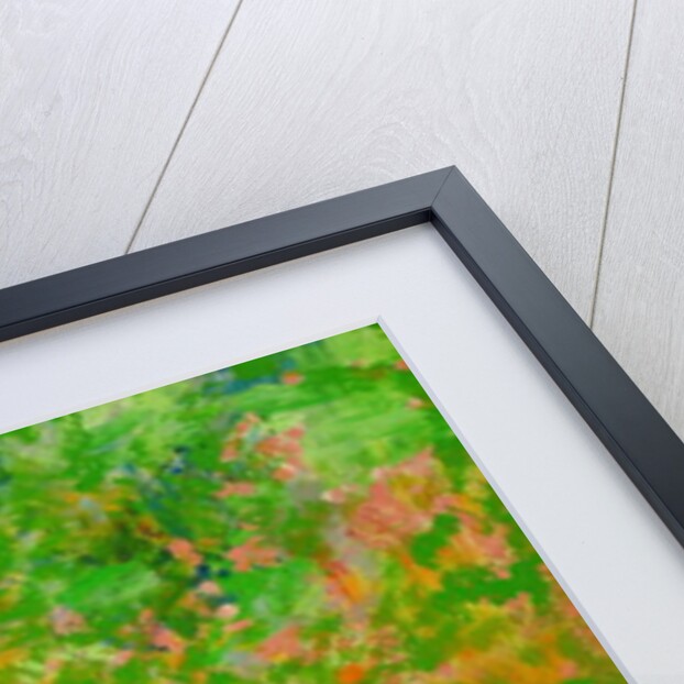 Waterside by Brenda Brin Booker