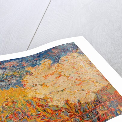 The Elderflower Tree II by Brenda Brin Booker