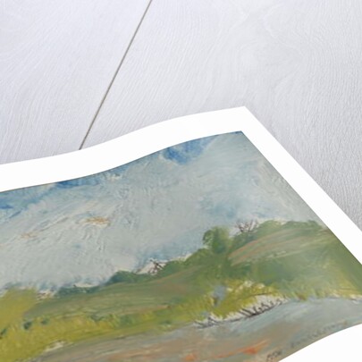 The Cottage down the Lane by Brenda Brin Booker