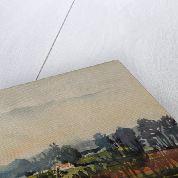 House through Trees by Brenda Brin Booker