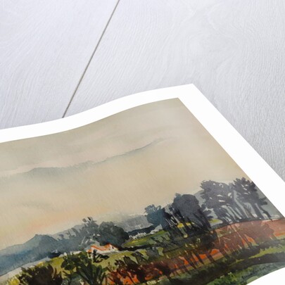 House through Trees by Brenda Brin Booker