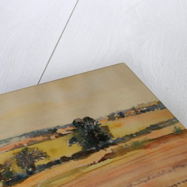 Suffolk Landscape, 1980 by Brenda Brin Booker