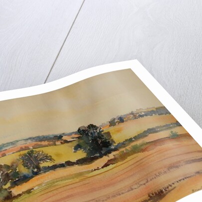 Suffolk Landscape, 1980 by Brenda Brin Booker