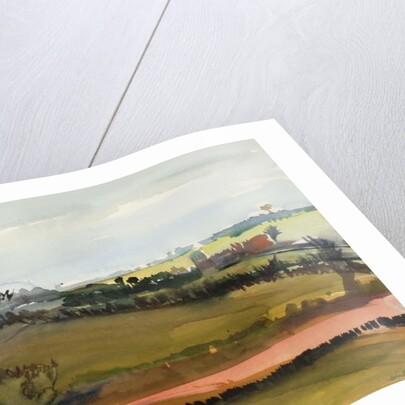 The Farm Road, 1981 by Brenda Brin Booker