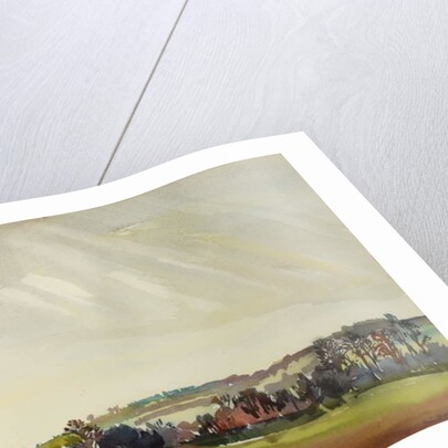 Morning Landscape, 1981 by Brenda Brin Booker