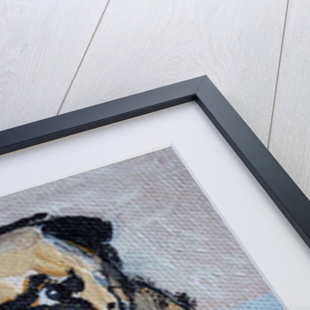 Vincent, the pug puppy by Brenda Brin Booker