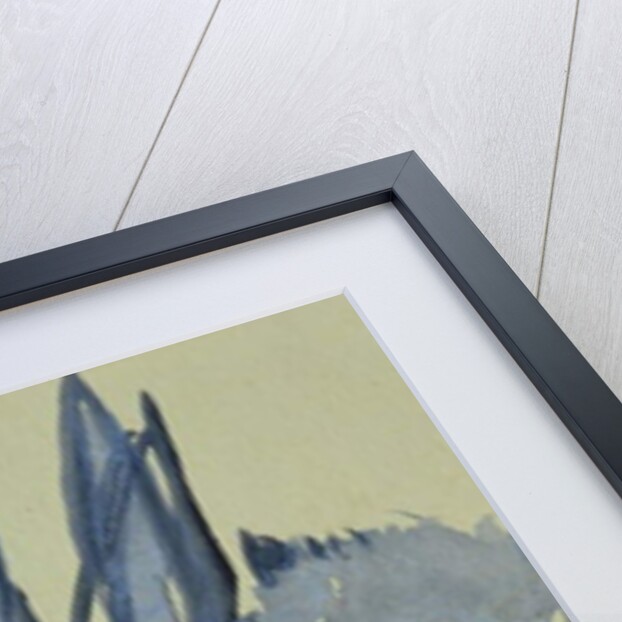 A Rabbit named Mr Nutall Smith by Brenda Brin Booker