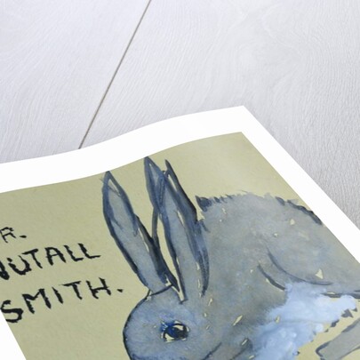A Rabbit named Mr Nutall Smith by Brenda Brin Booker