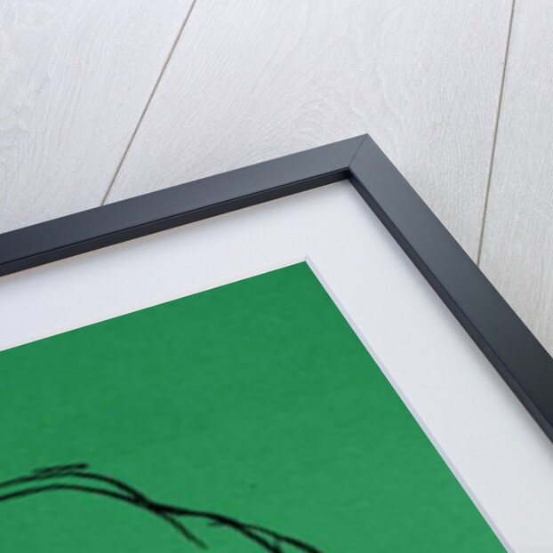 Vincent by Brenda Brin Booker