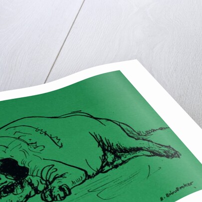 Vincent by Brenda Brin Booker