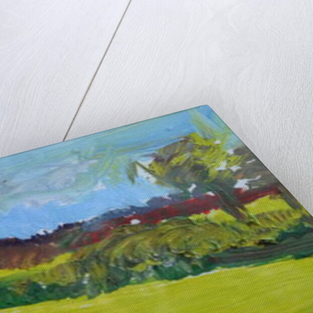 Distant Village by Brenda Brin Booker